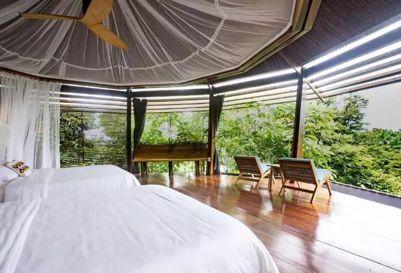 ユースホステル La Loma Jungle Lodge And Chocolate Farm