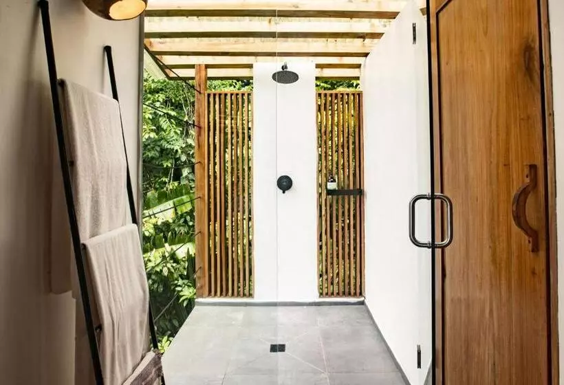 ユースホステル La Loma Jungle Lodge And Chocolate Farm