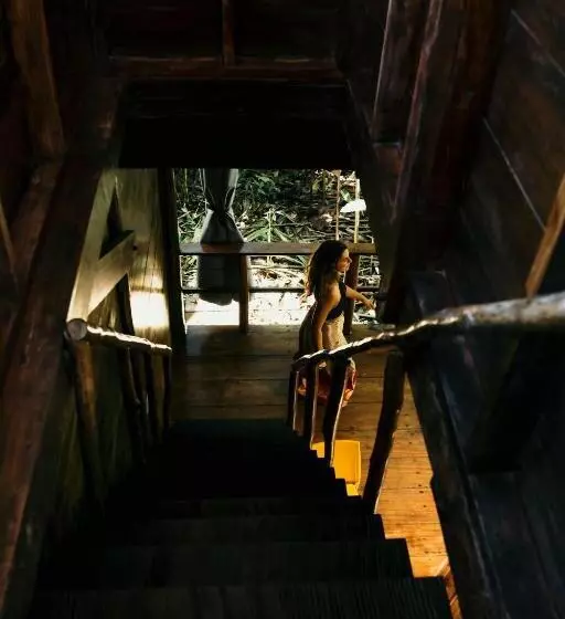 ユースホステル La Loma Jungle Lodge And Chocolate Farm