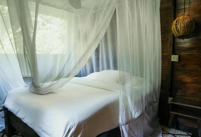 호스텔 La Loma Jungle Lodge And Chocolate Farm