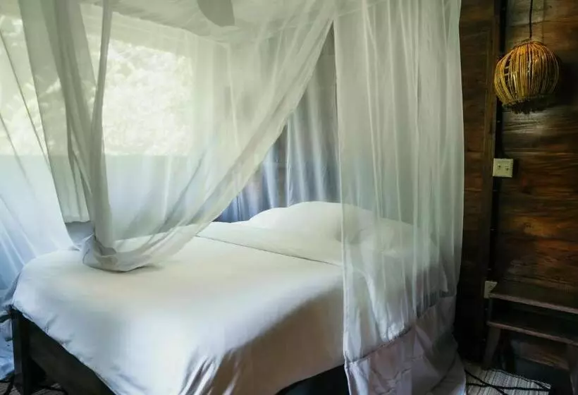 ユースホステル La Loma Jungle Lodge And Chocolate Farm