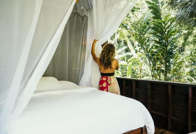 호스텔 La Loma Jungle Lodge And Chocolate Farm