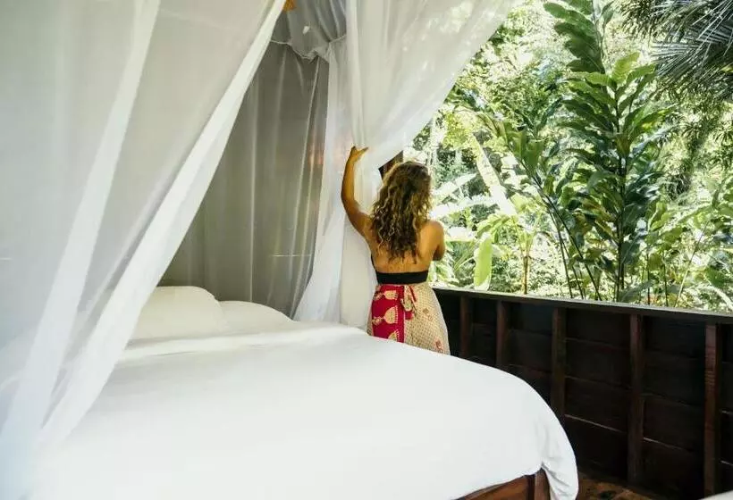 ユースホステル La Loma Jungle Lodge And Chocolate Farm