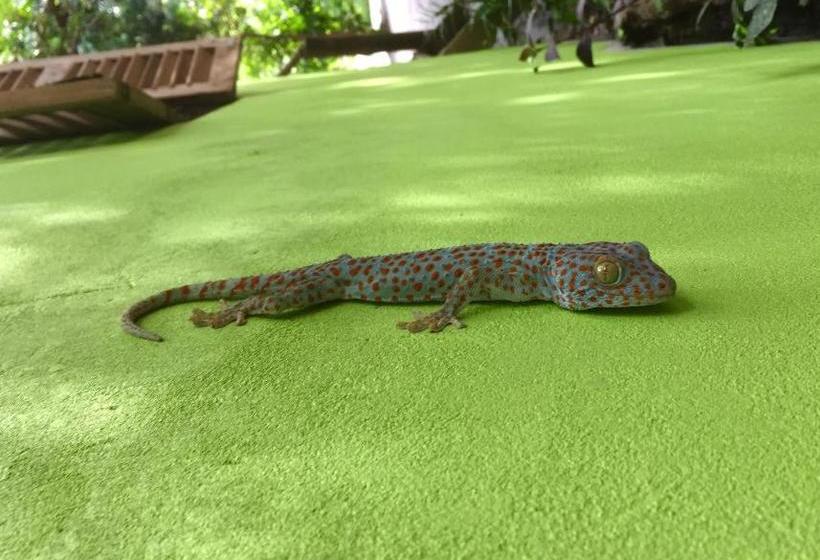 Schronisko The Sea View Dorm