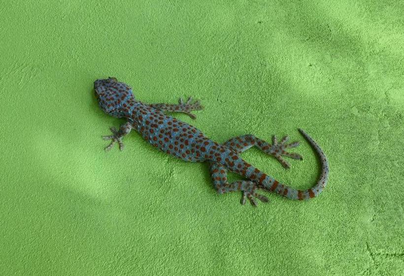 Schronisko The Sea View Dorm