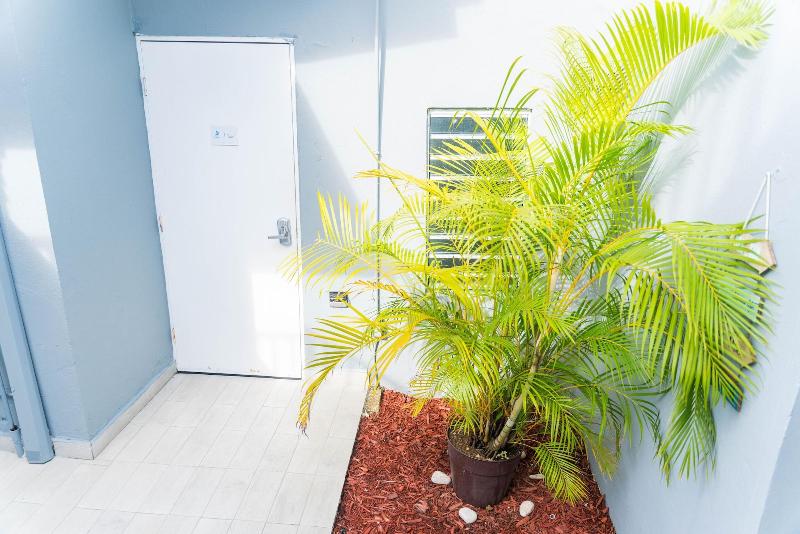 پانسیون The Pelican Poshtel