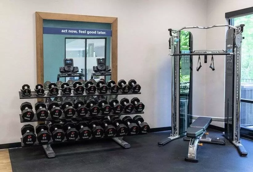 هتل Hampton Inn Black Mountain