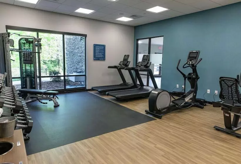 هتل Hampton Inn Black Mountain