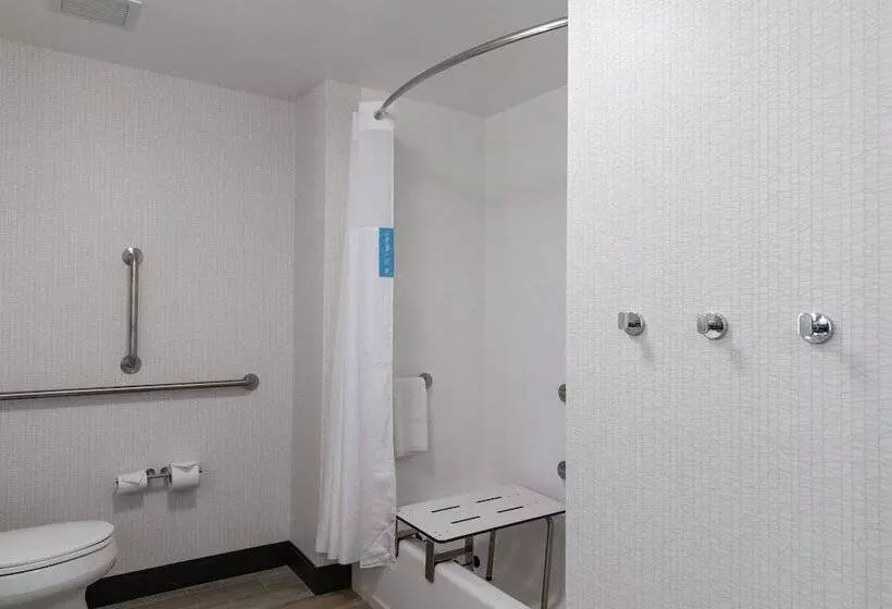 هتل Hampton Inn Black Mountain