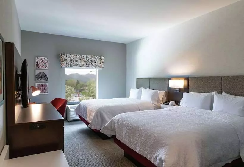 هتل Hampton Inn Black Mountain
