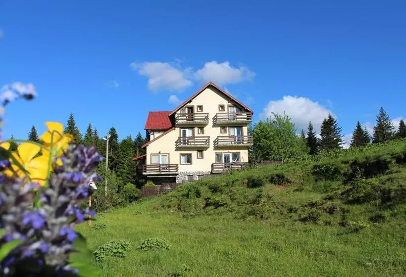 ペンション Fox Valley Villa