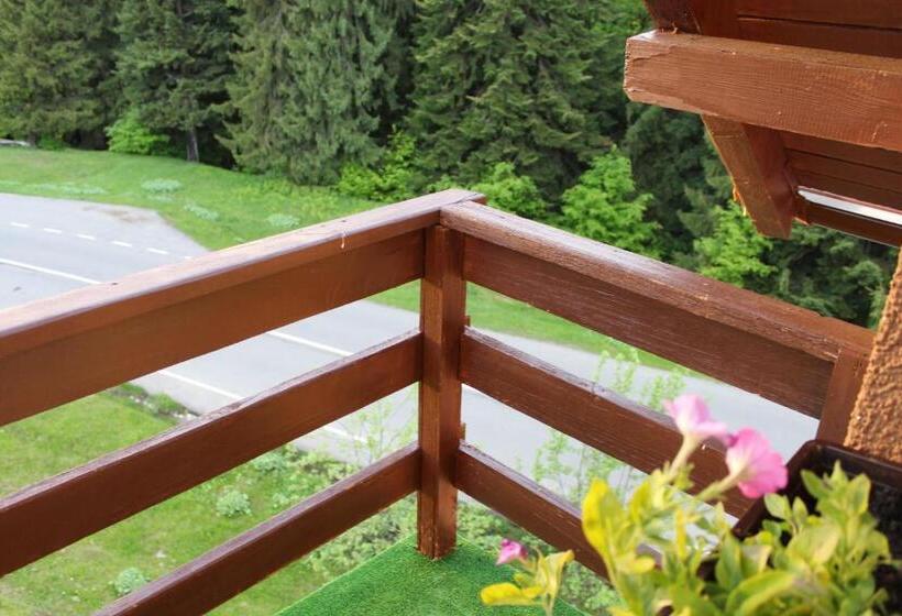 Pensió Fox Valley Villa