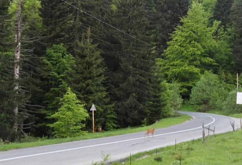 Pensió Fox Valley Villa