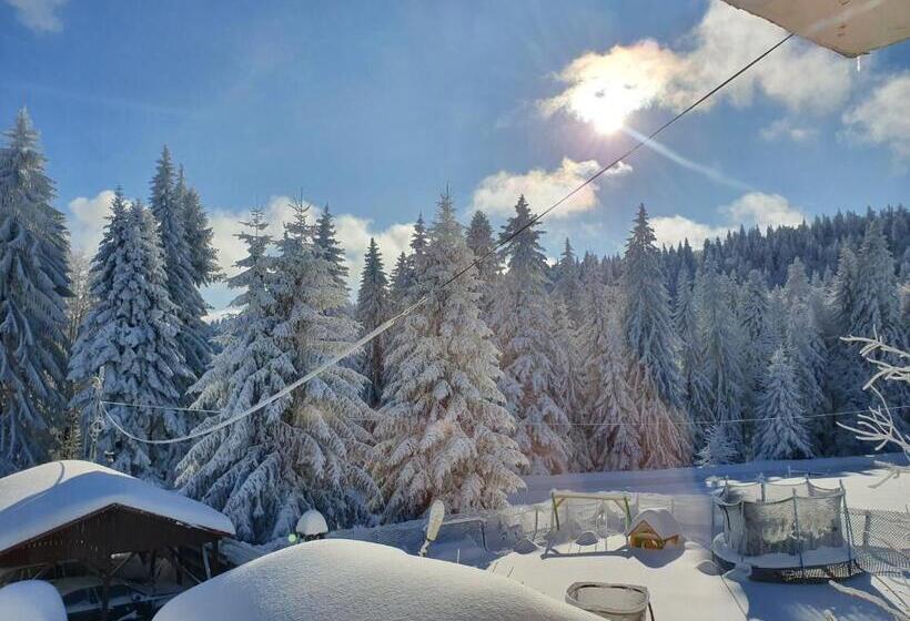 Pensió Fox Valley Villa