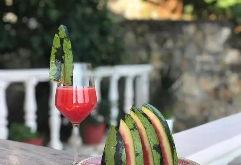 ペンション Guest House Himaj