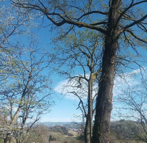 America Nei Boschi B&b