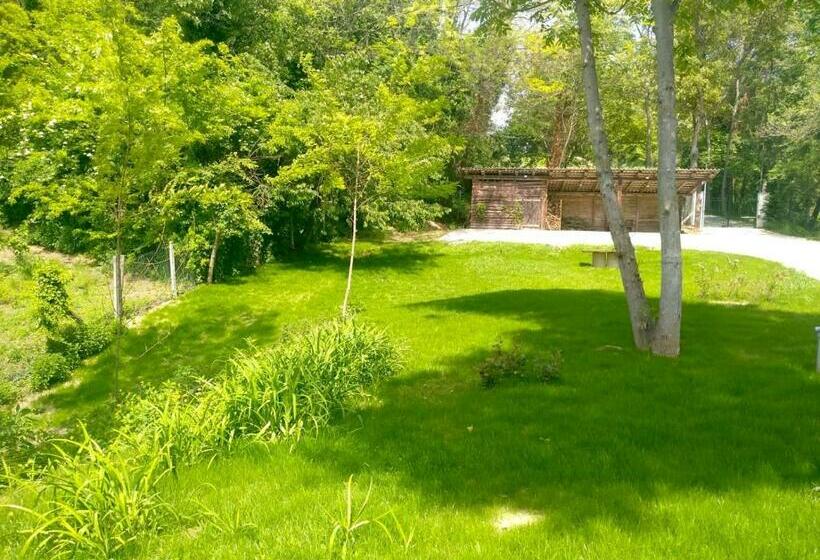 America Nei Boschi B&b