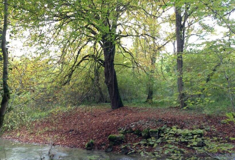 مبيت وإفطار La Virgule De Tanlay