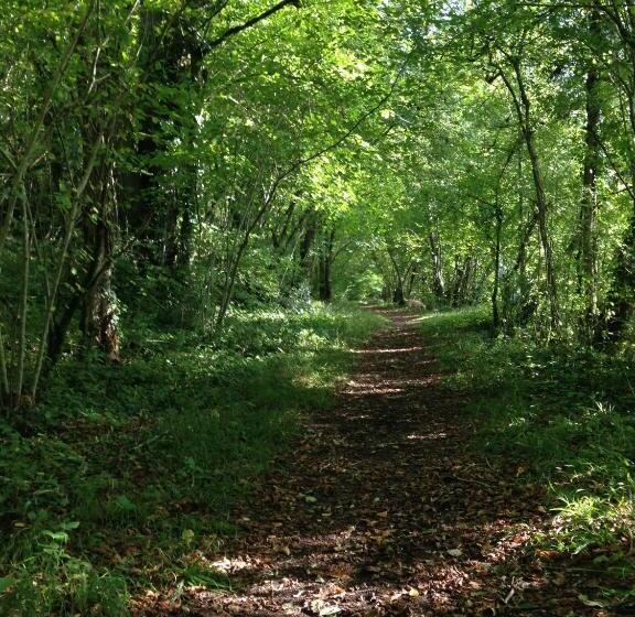 مبيت وإفطار La Virgule De Tanlay