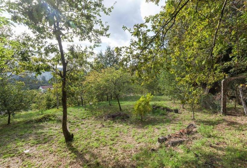 پانسیون Conheça O Minho E Descanse Em Plena Natureza Suite