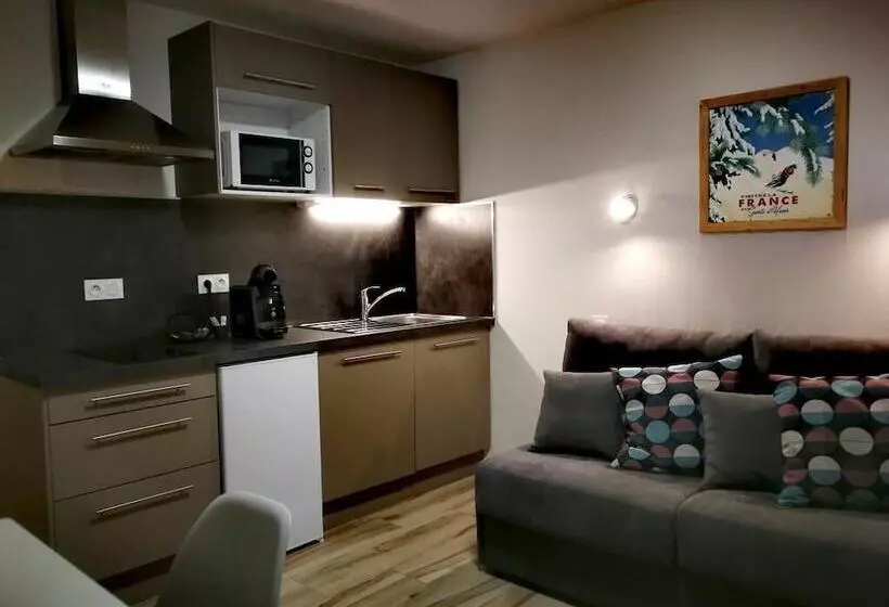L Appart Hôtel Du Pic