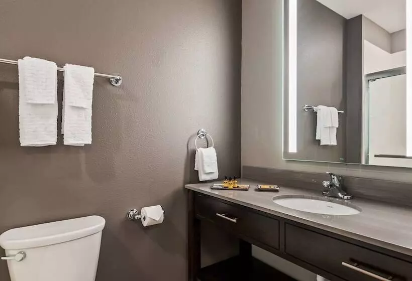 ホテル Best Western Plus Saint Peter