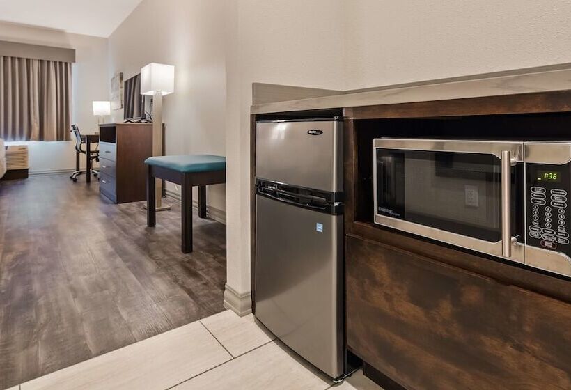 酒店 Best Western Plus Saint Peter