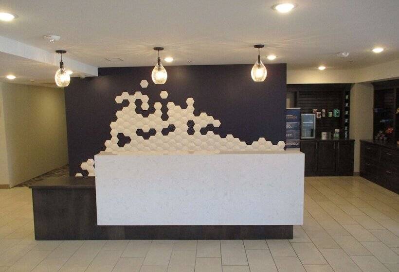 酒店 Best Western Plus Saint Peter