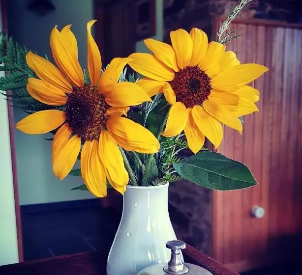 Majatalo Casa Rural Norita   Adults Only