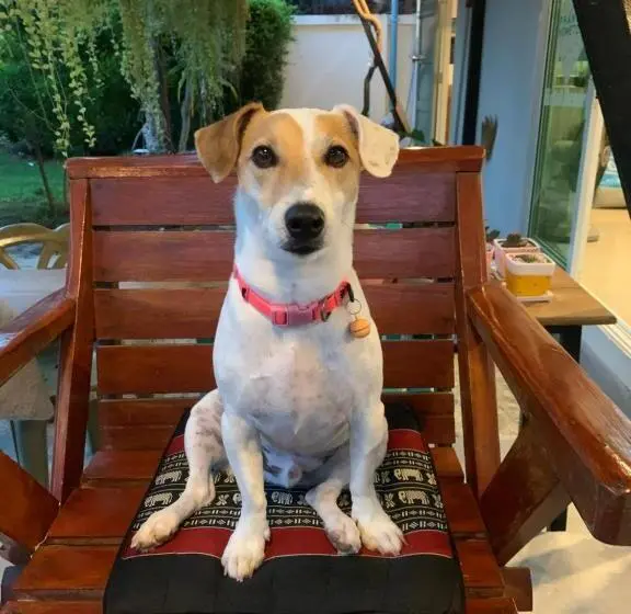 فندق Phangan Hometown Resort Adults Only