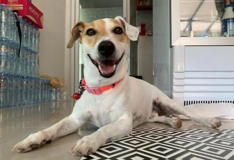 فندق Phangan Hometown Resort Adults Only