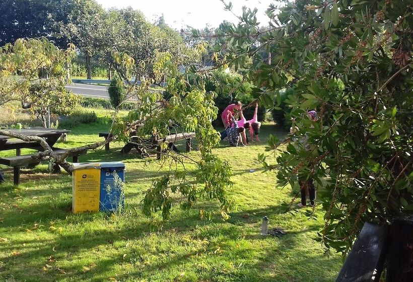 Albergue   Pensión Camiño Das Ocas   Hostel