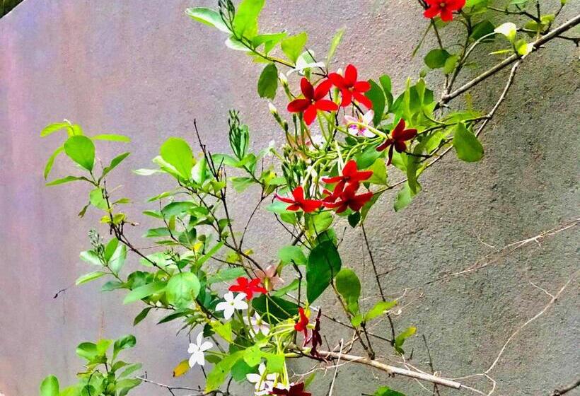 ペンション Hasindu Home Villa