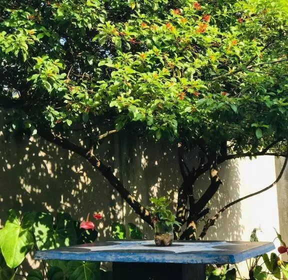 ペンション Hasindu Home Villa