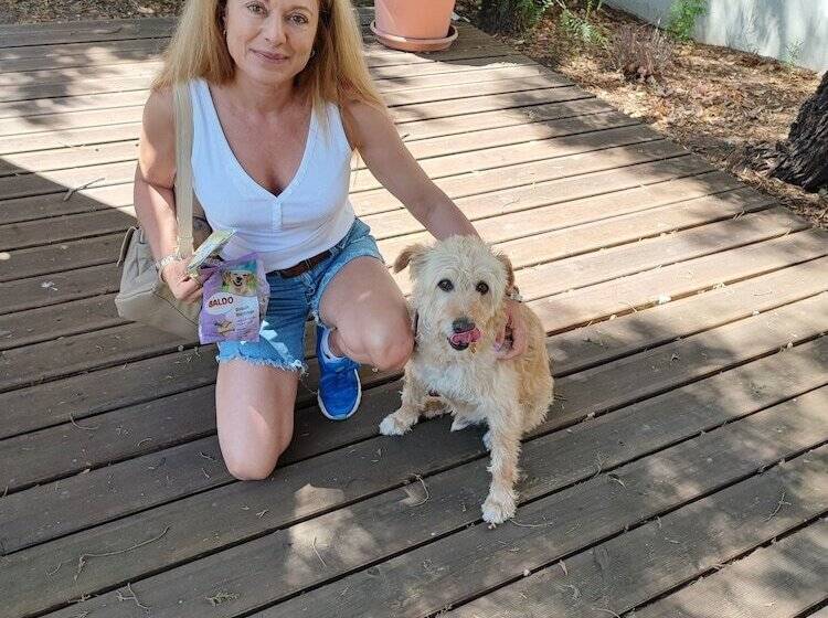 مبيت وإفطار Paradise Suites