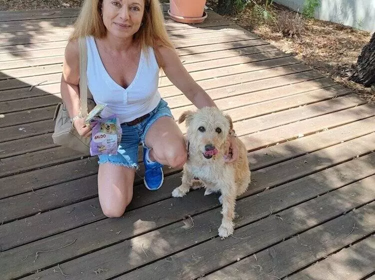 Aamiaismajoitus (B&B) Paradise Suites