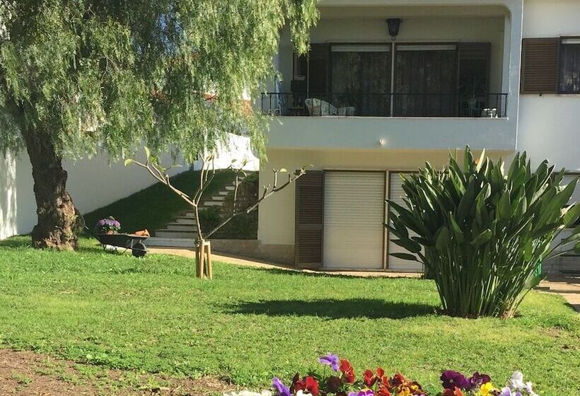 مبيت وإفطار Paradise Suites