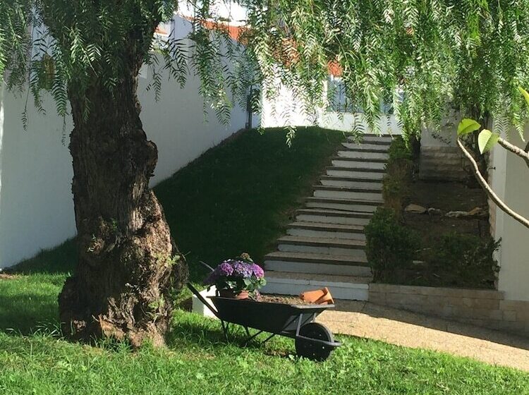 مبيت وإفطار Paradise Suites