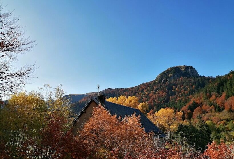 Отель Les Mouflons