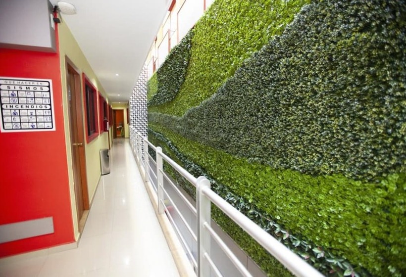 فندق Lira Solo Adultos