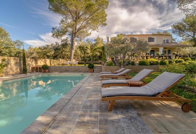 بنسيون Petit Dédale