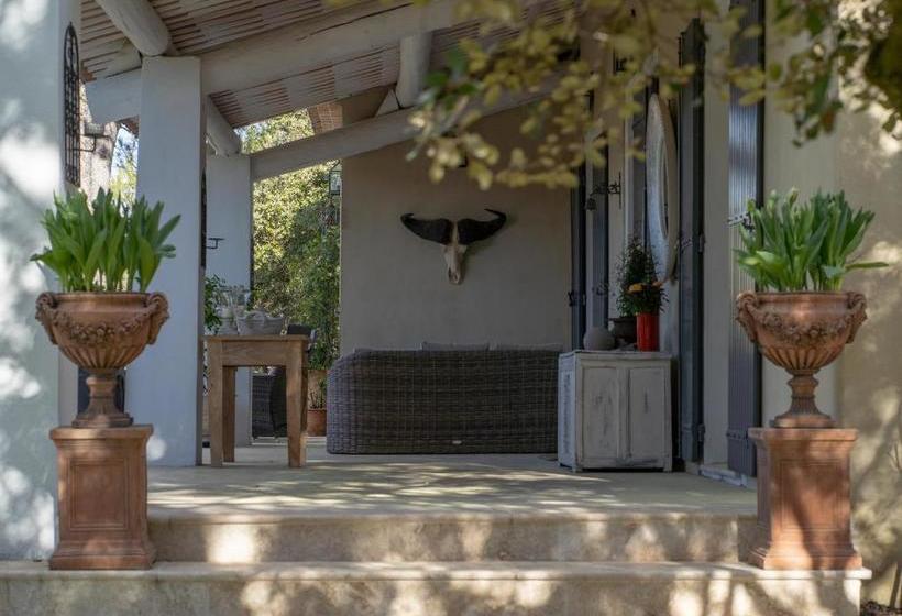 بنسيون Petit Dédale