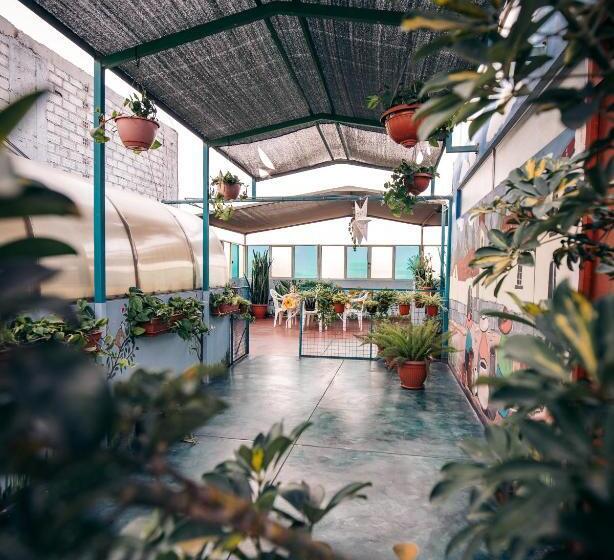 호스텔 Mama Backpackers