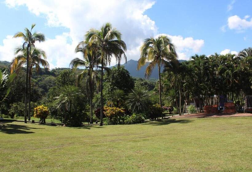 فندق Spa Excalibur