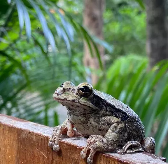 Aamiaismajoitus (B&B) Villas Kalei