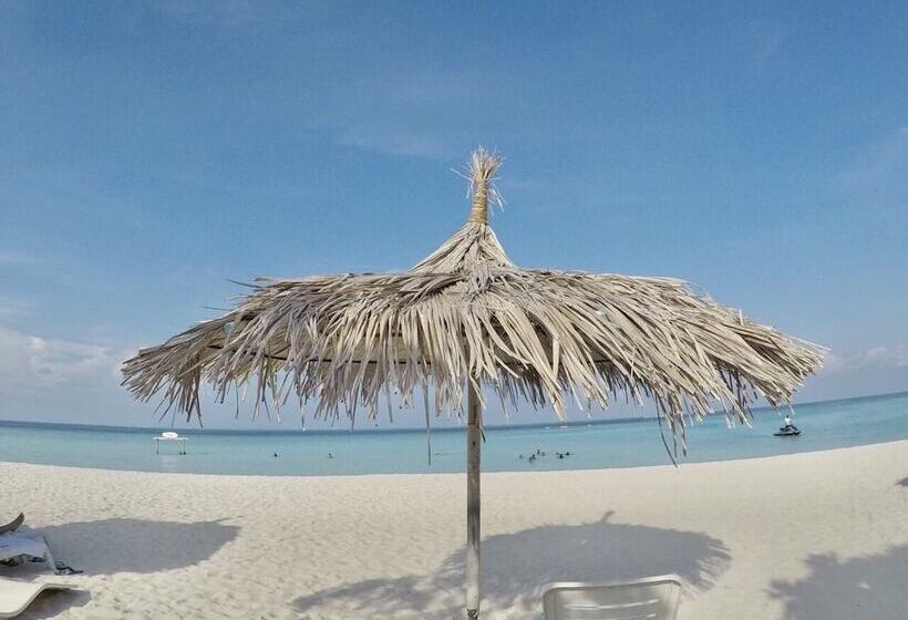 تختخواب و صبحانه Island Side Gulhi