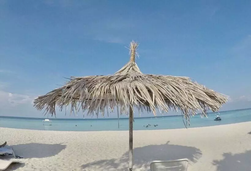 تختخواب و صبحانه Island Side Gulhi