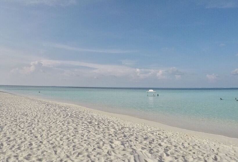 تختخواب و صبحانه Island Side Gulhi