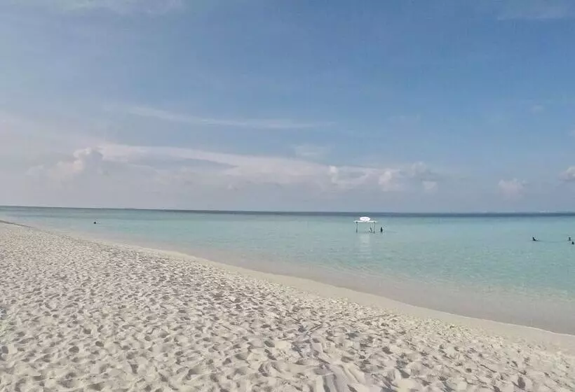 تختخواب و صبحانه Island Side Gulhi