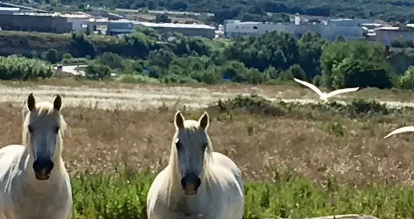Aamiaismajoitus (B&B) La Domitia   Maison D Hôtes, Spa & Massages